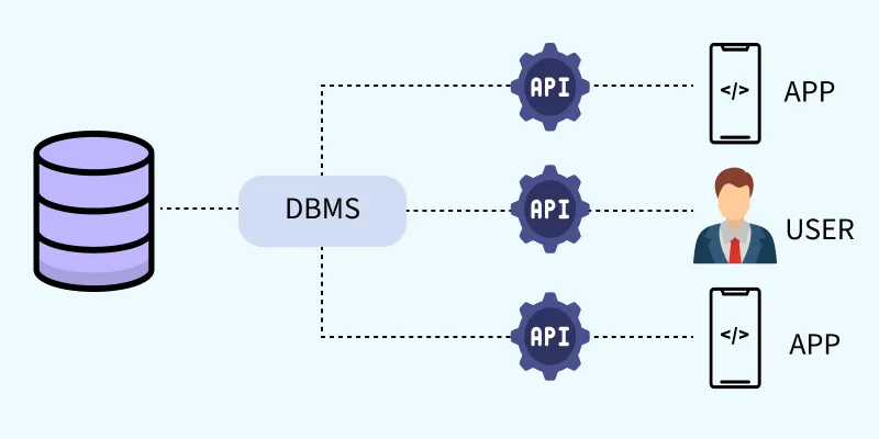 Database Management Systems for Beginners