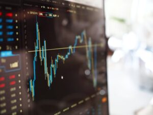 Capability Diversification: The Student’s Hedge Against Economic Volatility