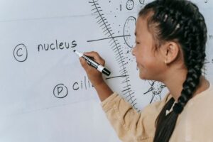 Learn. Quiz. Practise. Intern. Repeat: A Smarter Student Growth Cycle