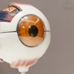 Education Model Router: Selecting the right AI system for explanation