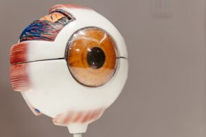 Education Model Router: Selecting the right AI system for explanation