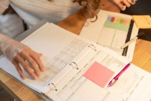 Work Sample Passport: Record of Verified Projects and Professional Tasks