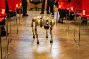 The Autonomous Learning Journey: Could AI Continuously Redesign a Student’s Education?